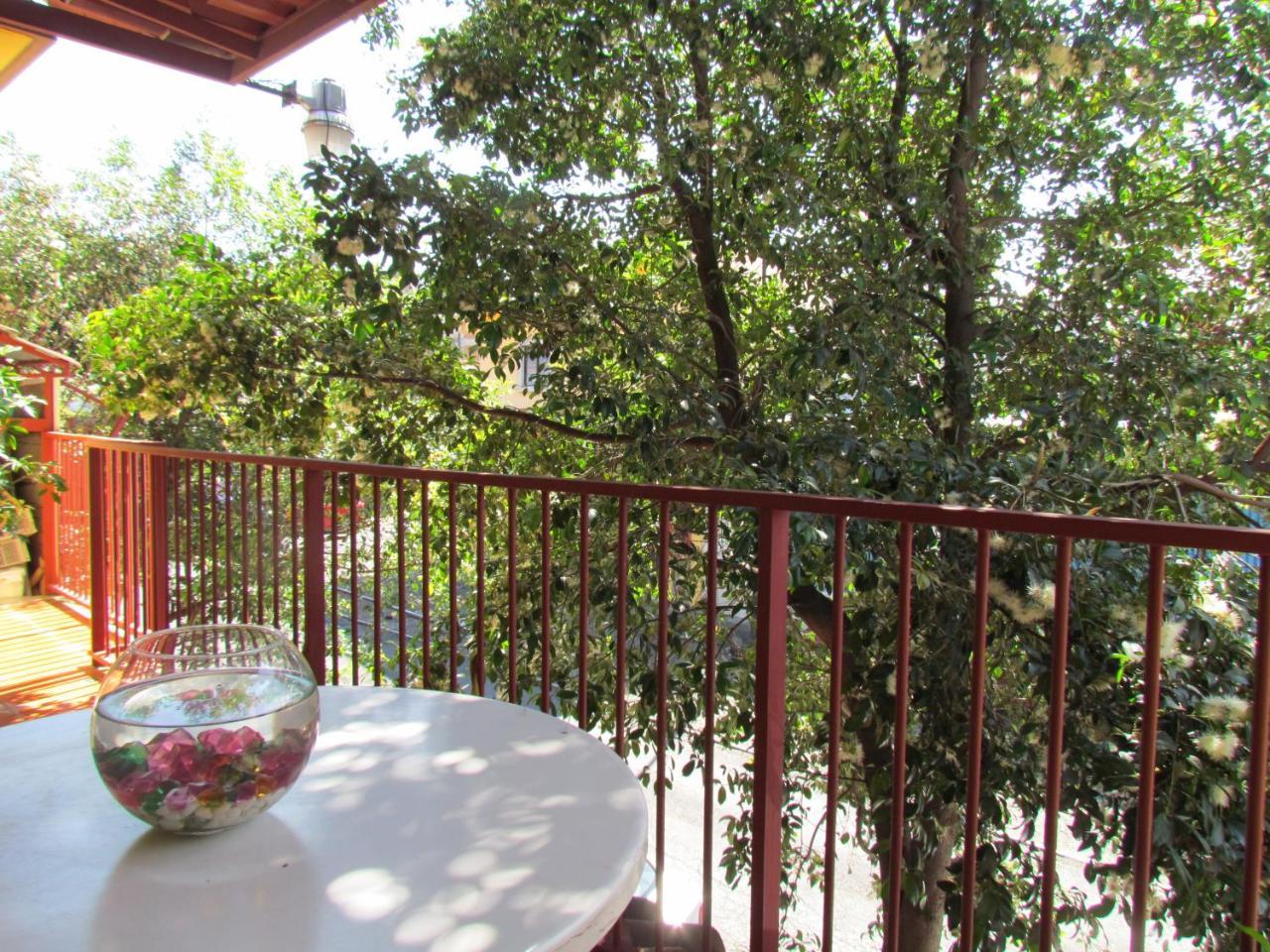 סן חוזה Hostel Shakti מראה חיצוני תמונה